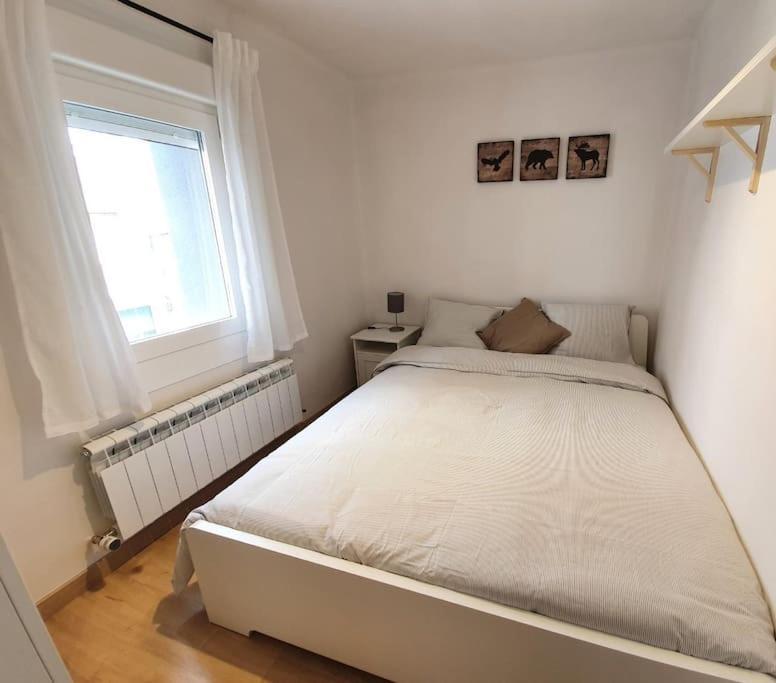 Acogedor Piso En El Centro De Sabinanigo Apartment Екстериор снимка